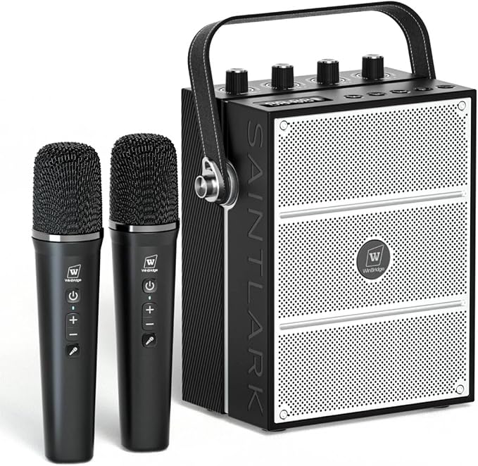 Karaoke / Guitar Amp Speaker with Microphones