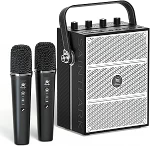 100W Voice Amplifier with Wireless Microphones, Bluetooth Portable Speaker, Karaoke System, Support USB/TF/Aux/Guitar