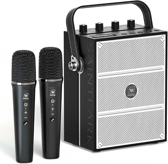 100W Powerful Voice Amplifier with 2 Wireless Microphones, Big Pro Sound...