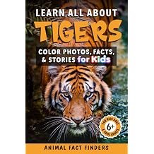 Learn All About Tigers Color Photos, Facts, and Stories for Kids Learn All About Animals