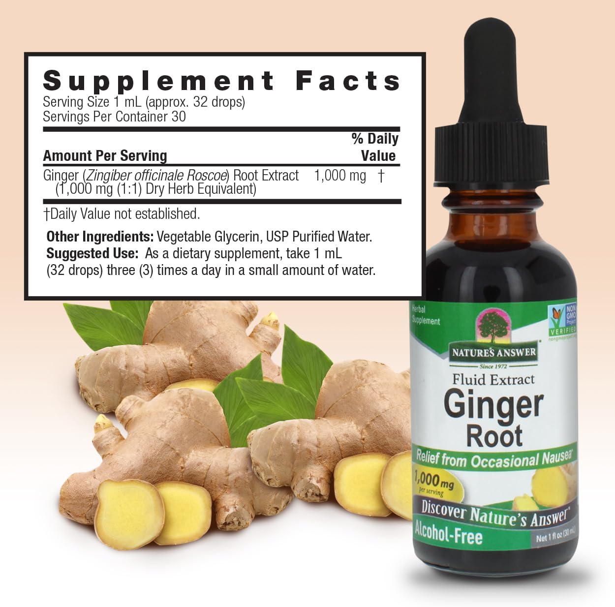 Nature's Answer Ginger Root Alcohol Free Extract 1 Ounce | Supports Stomach Function | Vegan | Vegetarian | Non-GMO | Gluten Free - Image 3