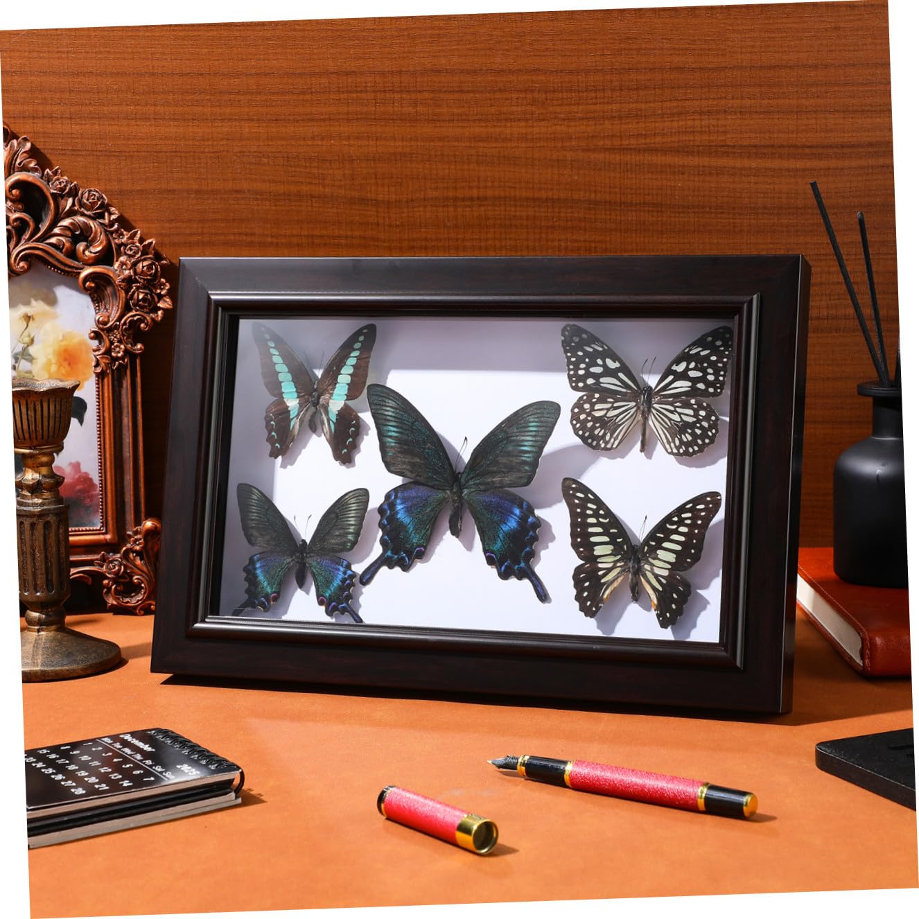 Marco de Exhibición de Mariposas Tapa Transparente y Madera Resistente, Decoración de Pared Hogar y Obsequio para Coleccionistas