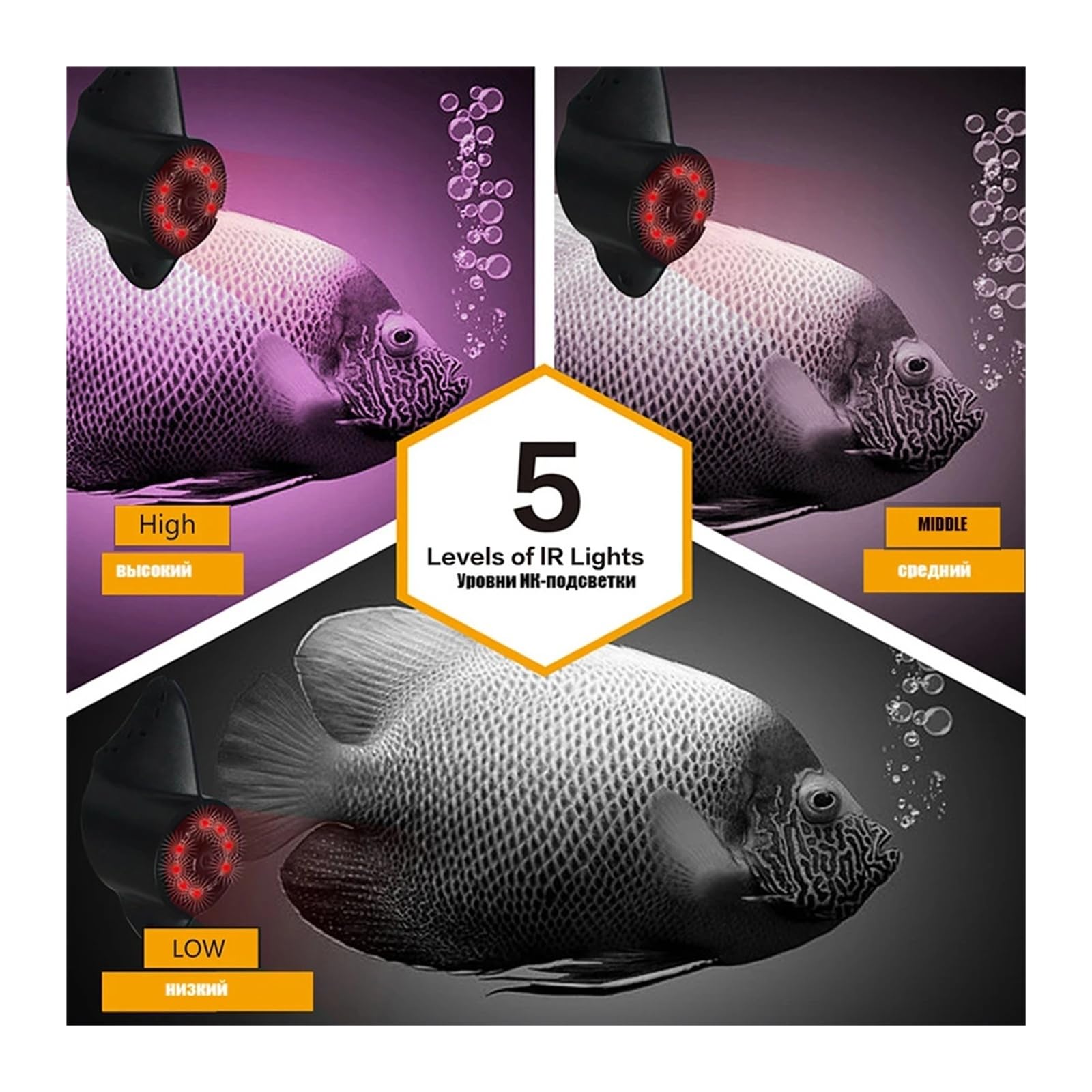 Caméra de pêche sur Glace 4,3 Pouces avec enregistreur DVR 750, kit de détection de Poissons