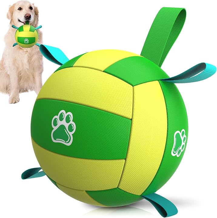 QDAN Dog Volleyball