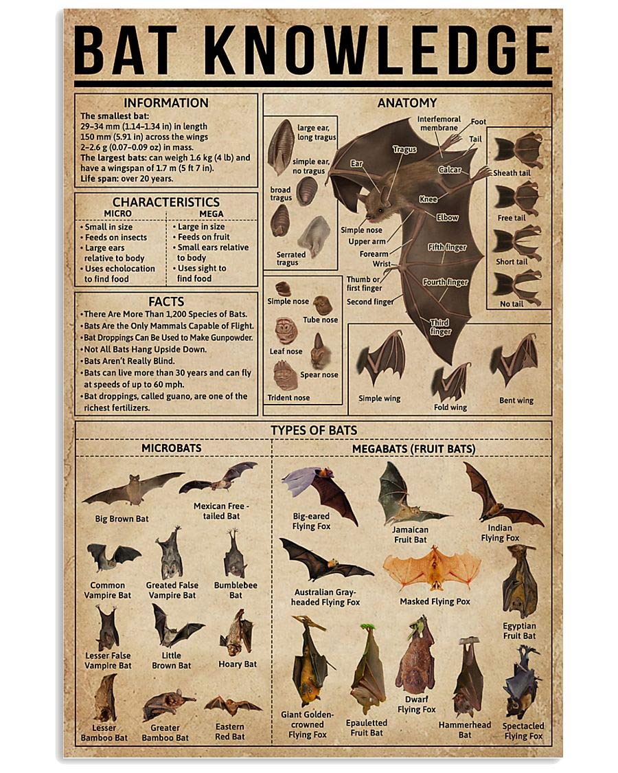 Bat Knowledge Posters Information Anatomy Type Metal Signs Room Decor Science Education Farm Club Wall Decor Retro Plaque 8x6 Inches