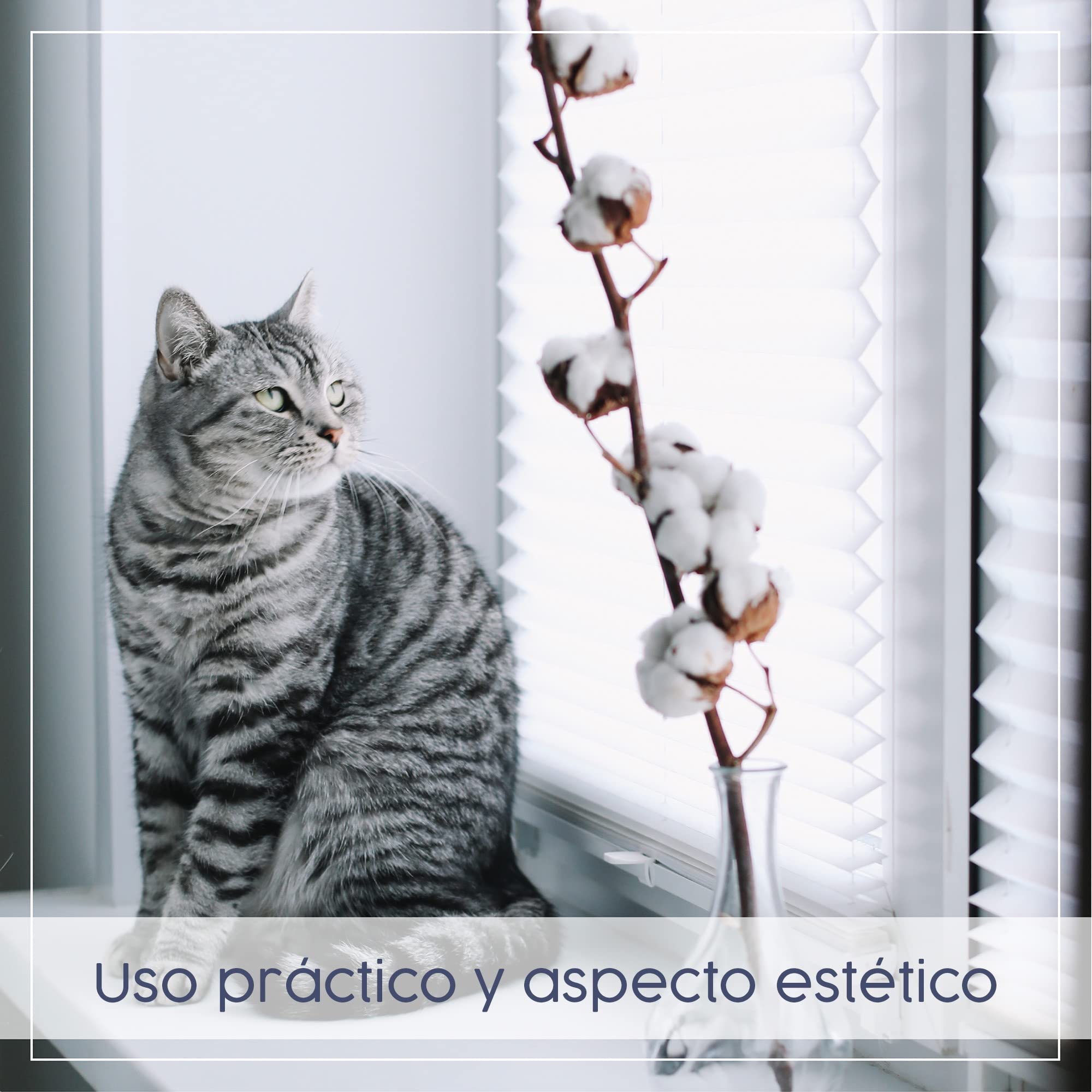 Concept Blinds - Persiana Plisada Personalizada SIN perforación - Colección Premium 18 Colores de Tela - Montaje rápido y fácil (Altura de 150 cm a 230 cm)