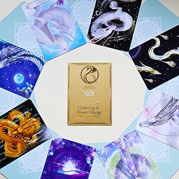 SHINGOさんのドラゴン 71u3AuO5bYL._AC_UF350,