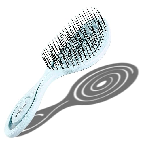 Miniatura 1 de Chiara Ambra Cepillo desenredante orgánico para mujeres, hombres y niños, cepillo de pelo en espiral único, cepillos alisadores de cabello