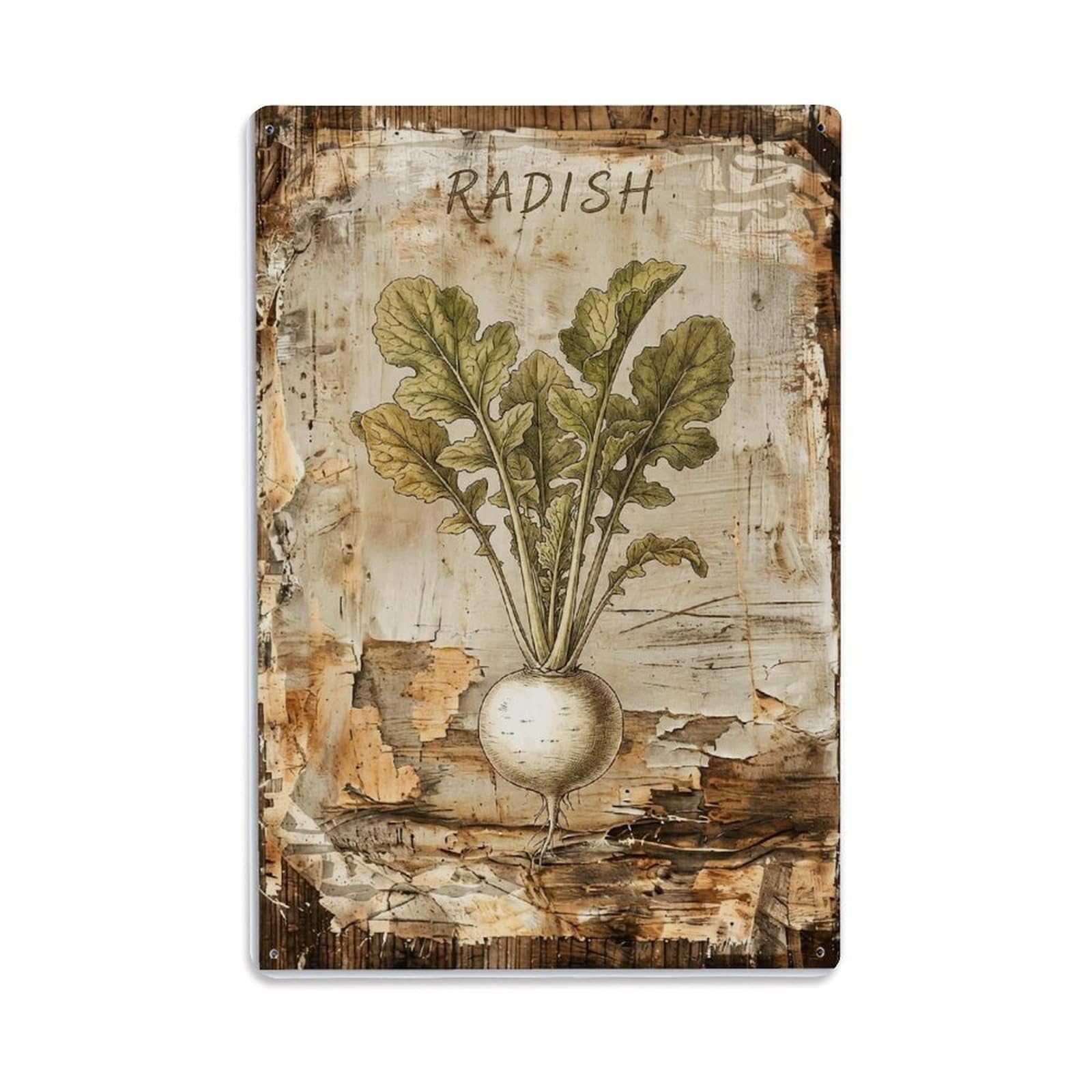 Fqnyr Style Radish Botanical Vintage Metal Tin Sign Plaque Wall Decor For Cafe, Club Bar, Office, Home Garden Metal Poster 8X12inch
