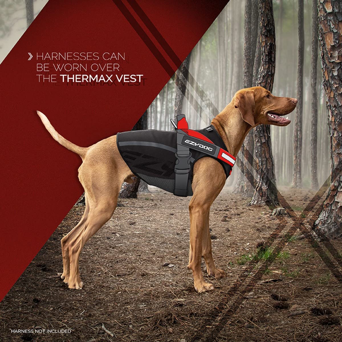 EzyDog Cappotto impermeabile per cani per cani piccoli, medi e grandi - Maglia in pile per cani con strisce riflettenti sicure, Giacca Thermax - Impermeabile per cani con protezione addominale (XL