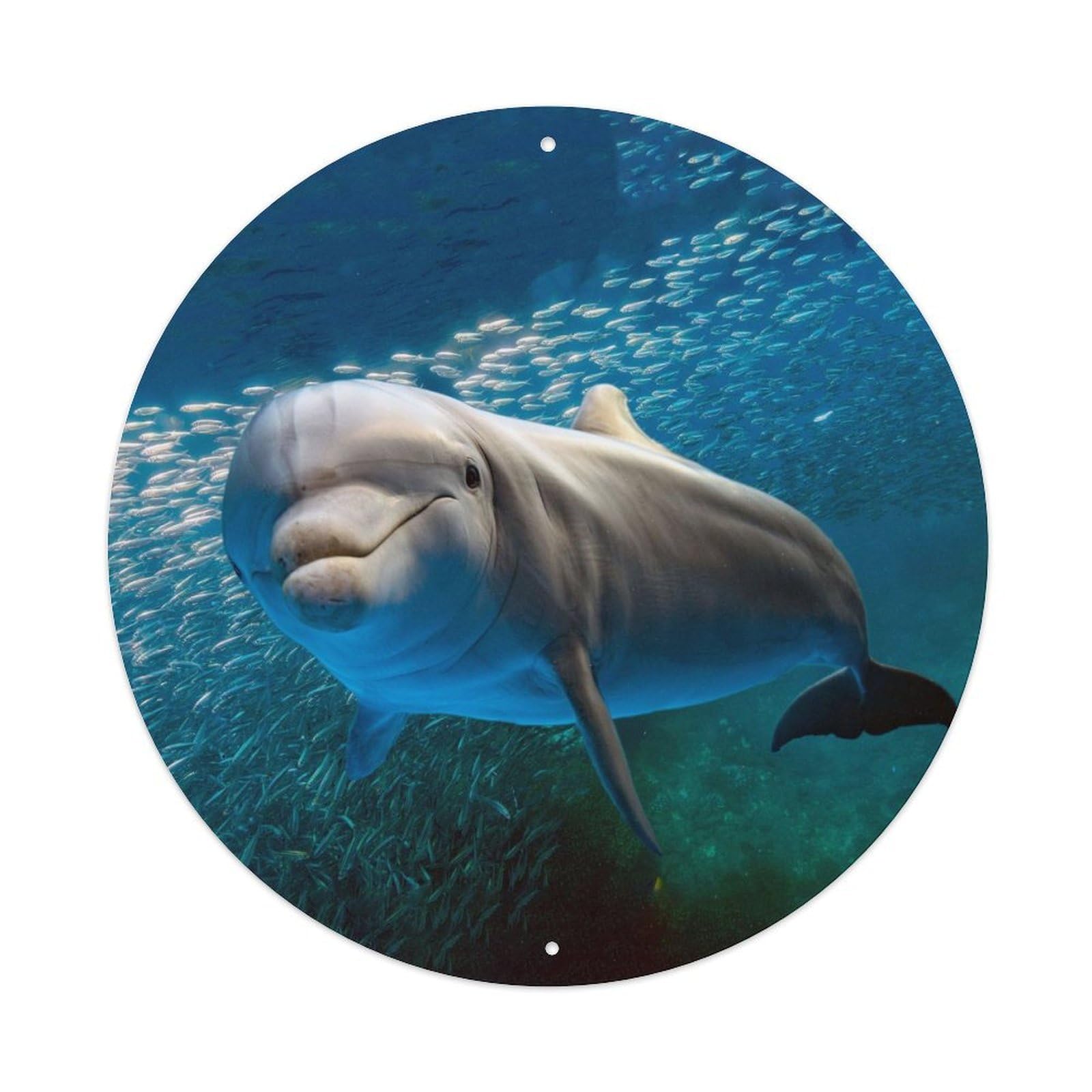 Wide Nosed Dolphin Marine Life Ocean Wildlife Metal Tin Sign