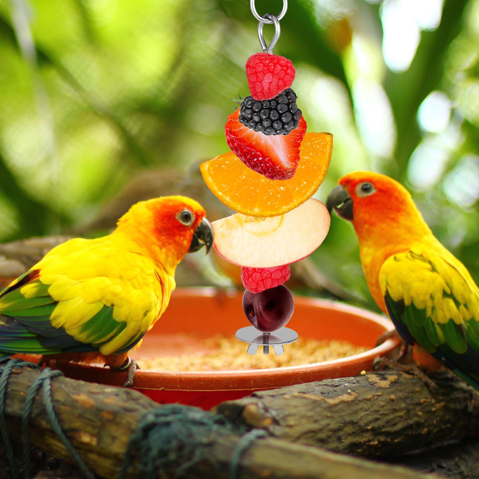 2pcs Brochette pour Oiseaux, Acier Inoxydable Brochette Fruits Oiseaux avec Crochet Mangeoire à Fruits pour Oiseaux Jouets de Recherche de Nourriture pour Perruche Ara Perroquet
