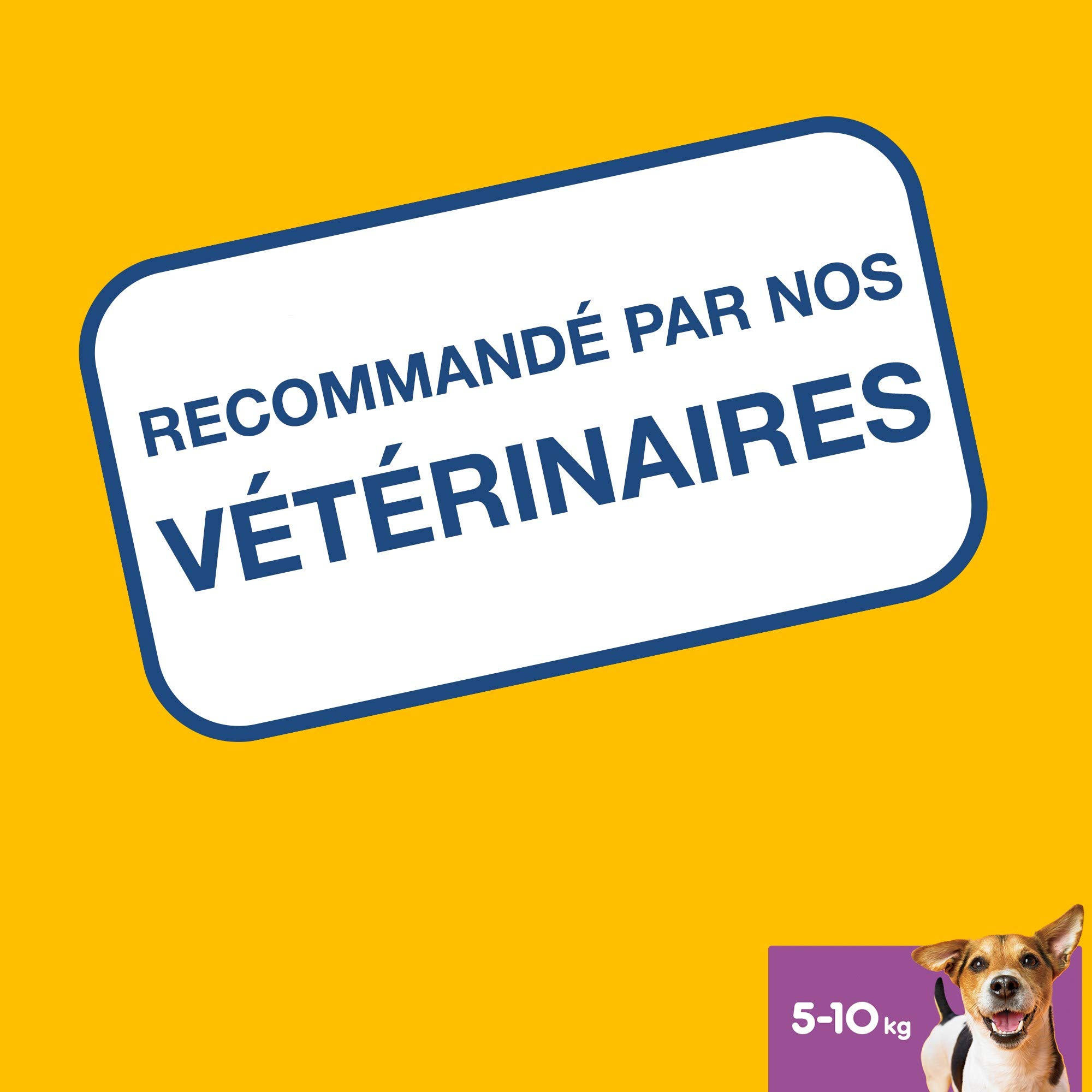 Pedigree Dentastix - Friandises pour petit chien, 56 bâtonnets à mâcher pour l'hygiène bucco-dentaire (1 boîte de 880 g / Total 56 Sticks)