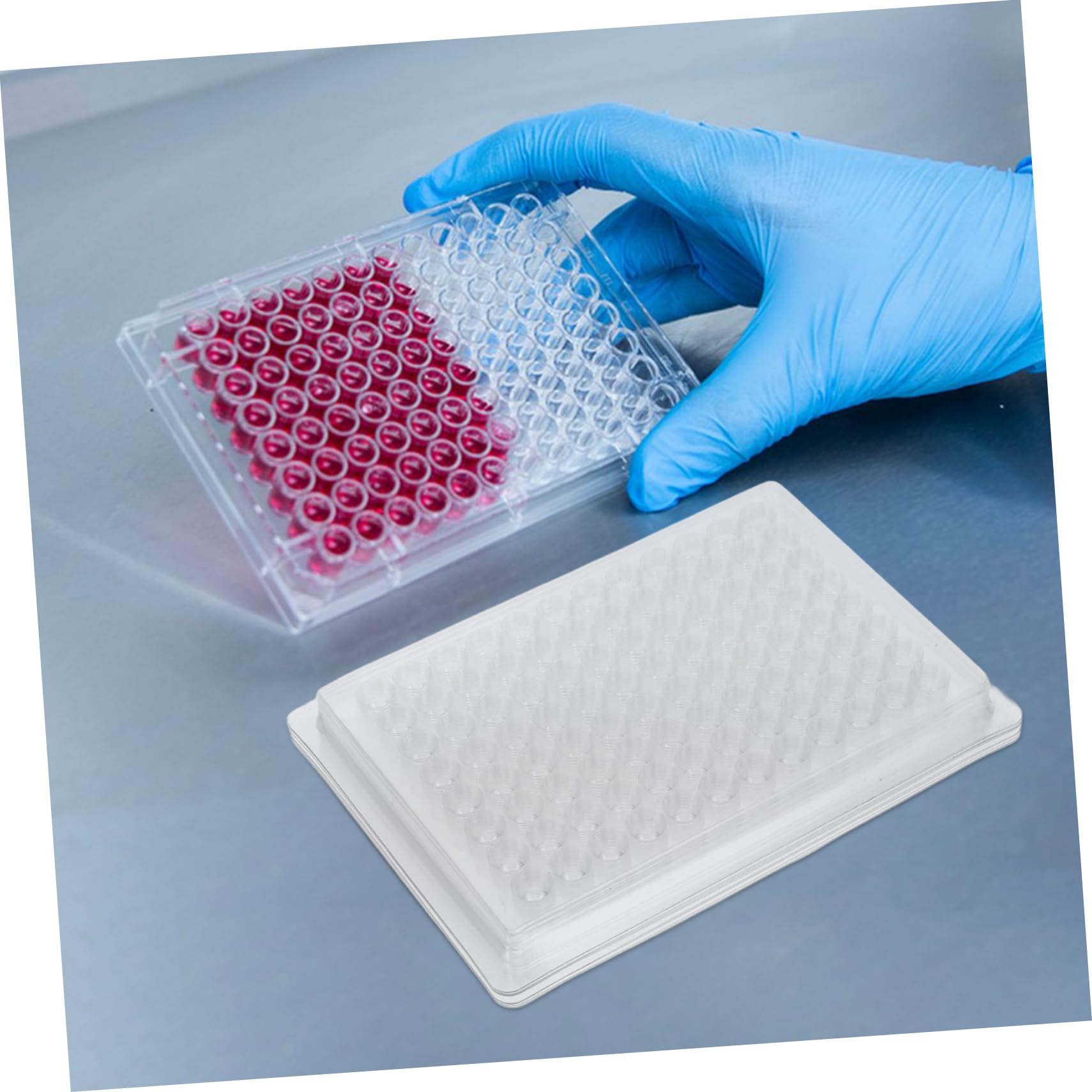 ABOOFAN 3 Set Piastra Di Reazione Della Piastra Del Coagulo Di Laboratorio Piastra Di Coltura Cellulare Vassoio Di Coltura Vassoio Per Colture Cellulari Trasparente Pvc 100 Pezzi*3