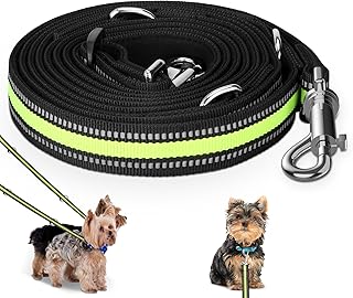 Dog Lead for Large and Medium Dogs - Adjustable Double Nylon Lead with 2 Carabiner Hooks and 3 Rings - 3 m x 15 mm (Fluorescent Green) product image