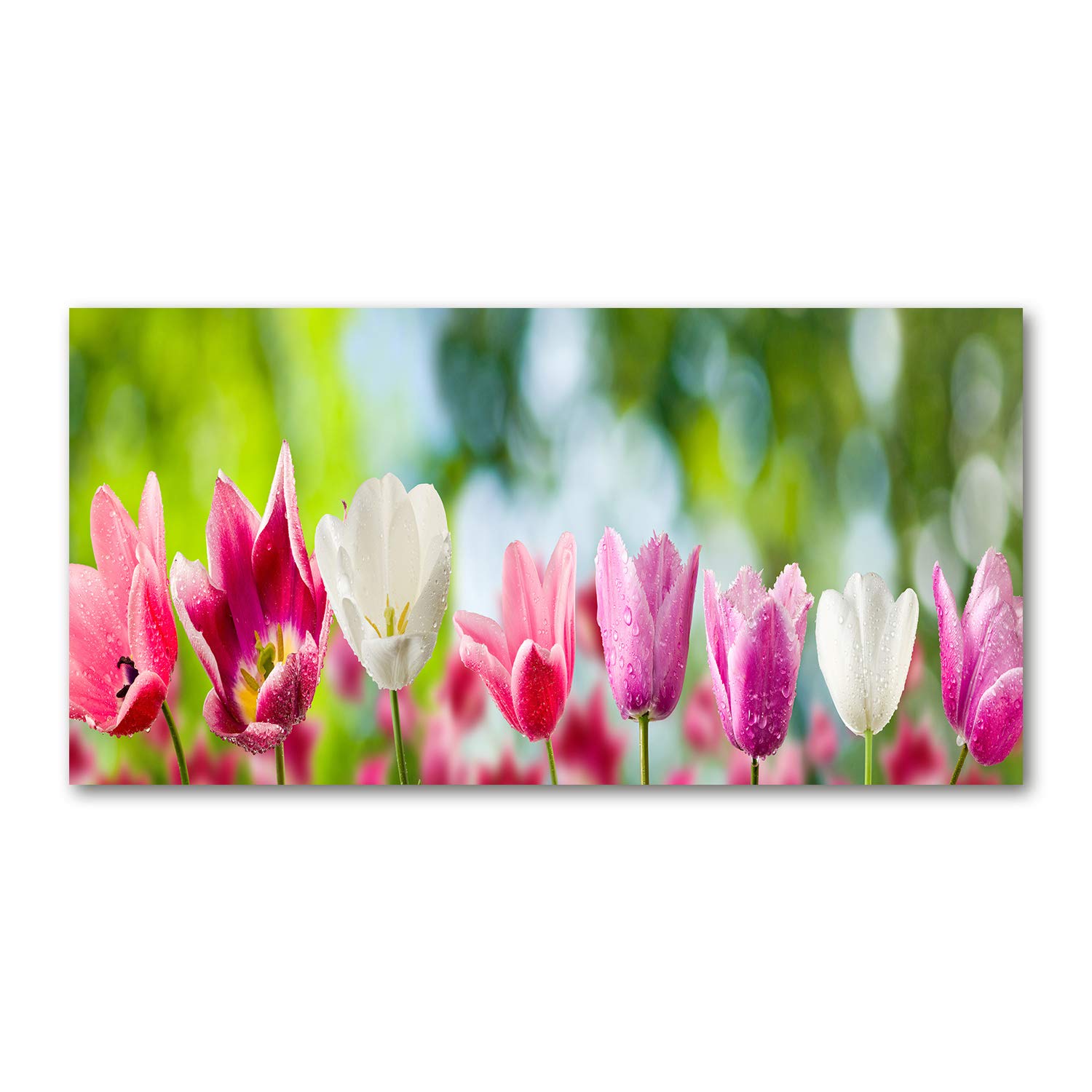 Tulup acrylic glass mural art 120x60cm tableau déco Tulipanes