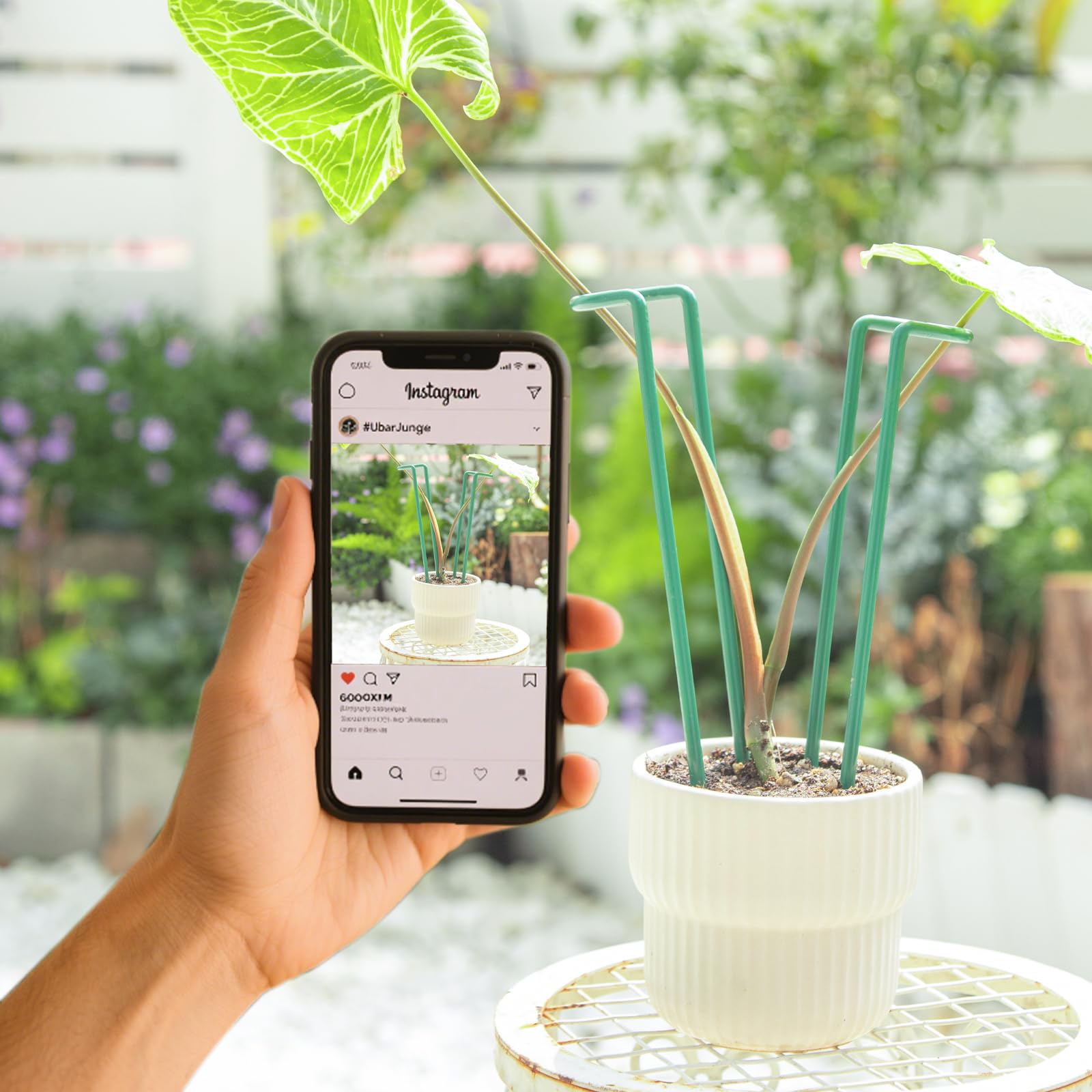 Lot de 10 piquets pour plantes d'intérieur – Support en fer durable en forme de U pour plantes Monstera et en pot, parfait pour les plantes grimpantes de petite et moyenne taille, idéal pour