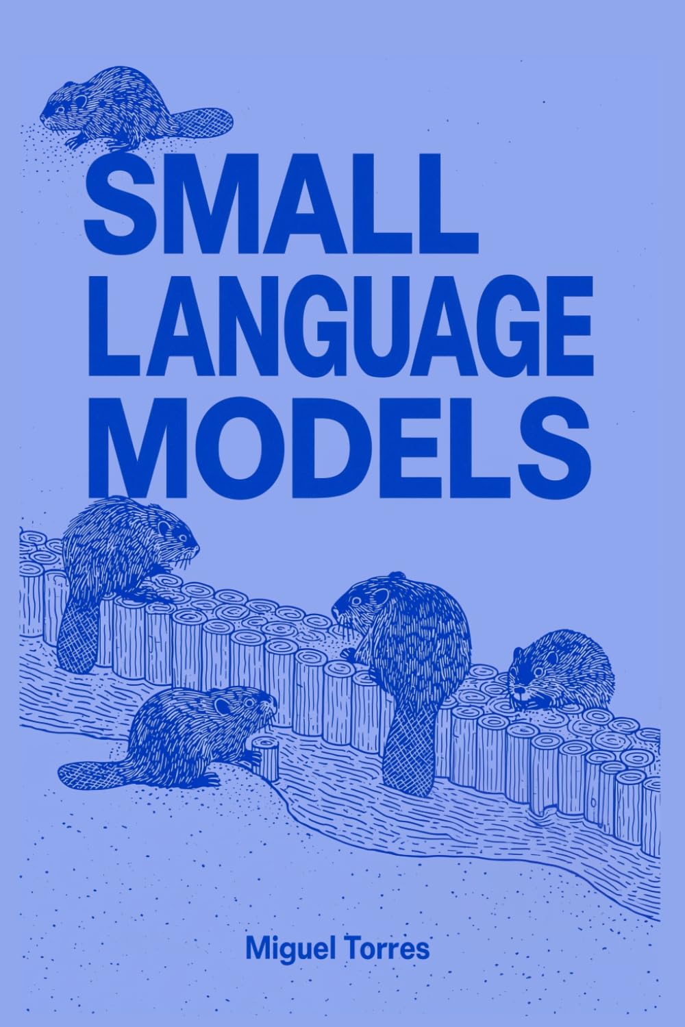 Small Language Models: When Smaller Is Better