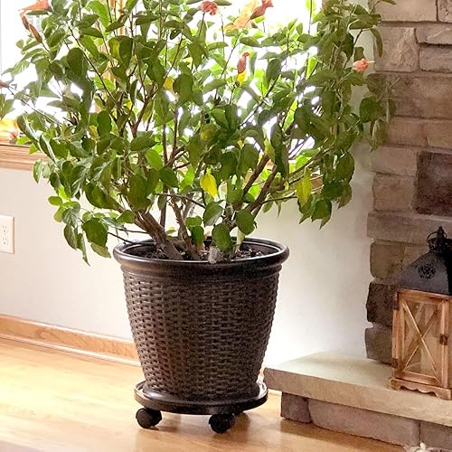 Miniatura 3 de AMAGABELI GARDEN & HOME Carrito para plantas con ruedas, resistente de 14 pulgadas, paquete de 2 soportes rodantes para plantas, ruedas de hierro