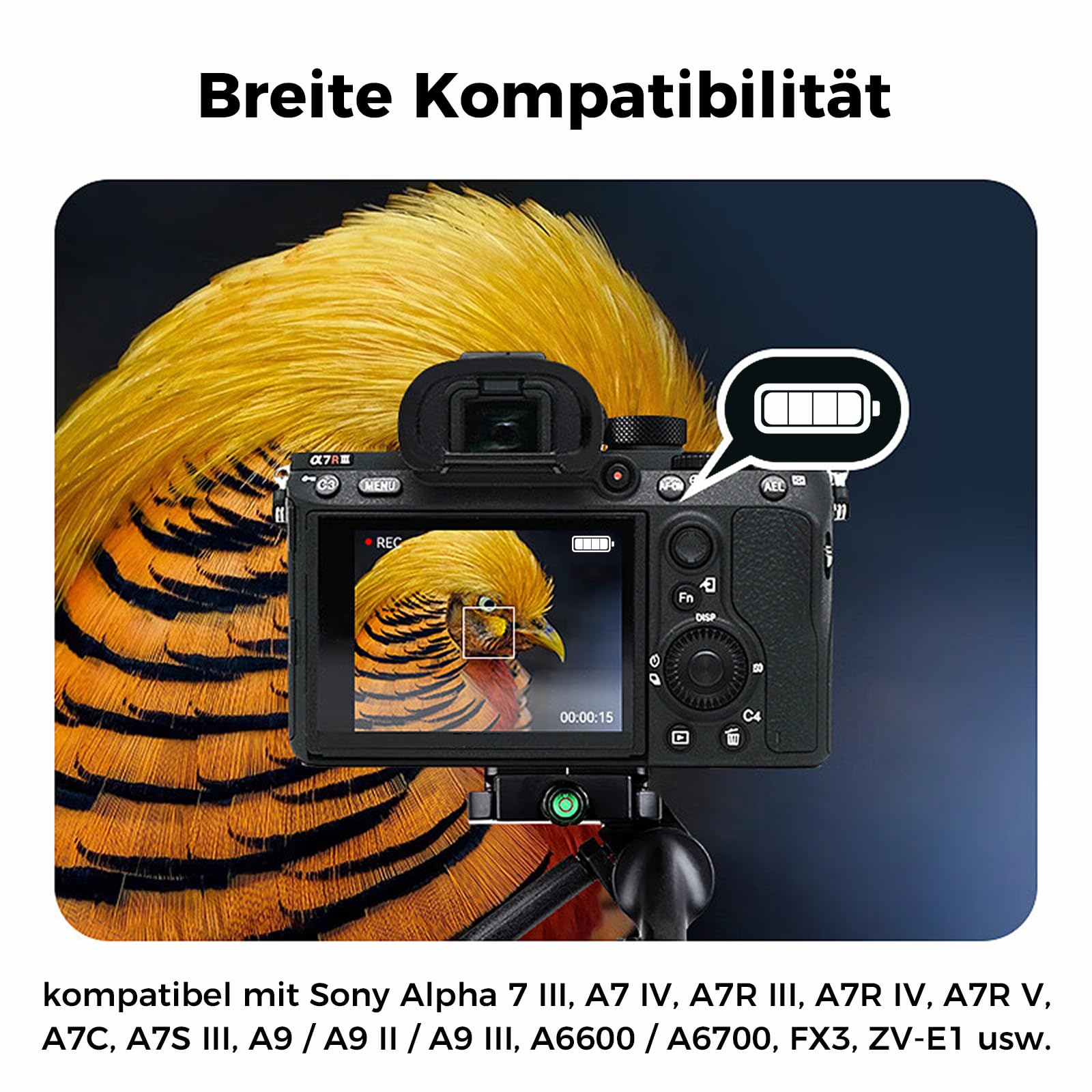 BTECH NP-FZ100 Akku 2600mAh 2er-Pack mit USB-C PD 18W Dual Schnellladegerät, kompatibel mit Sony A7 III, A7 IV, A7R III, A7R IV, A7R V, A7C, A7S III, A9, A6600, A6700, FX3, FX30
