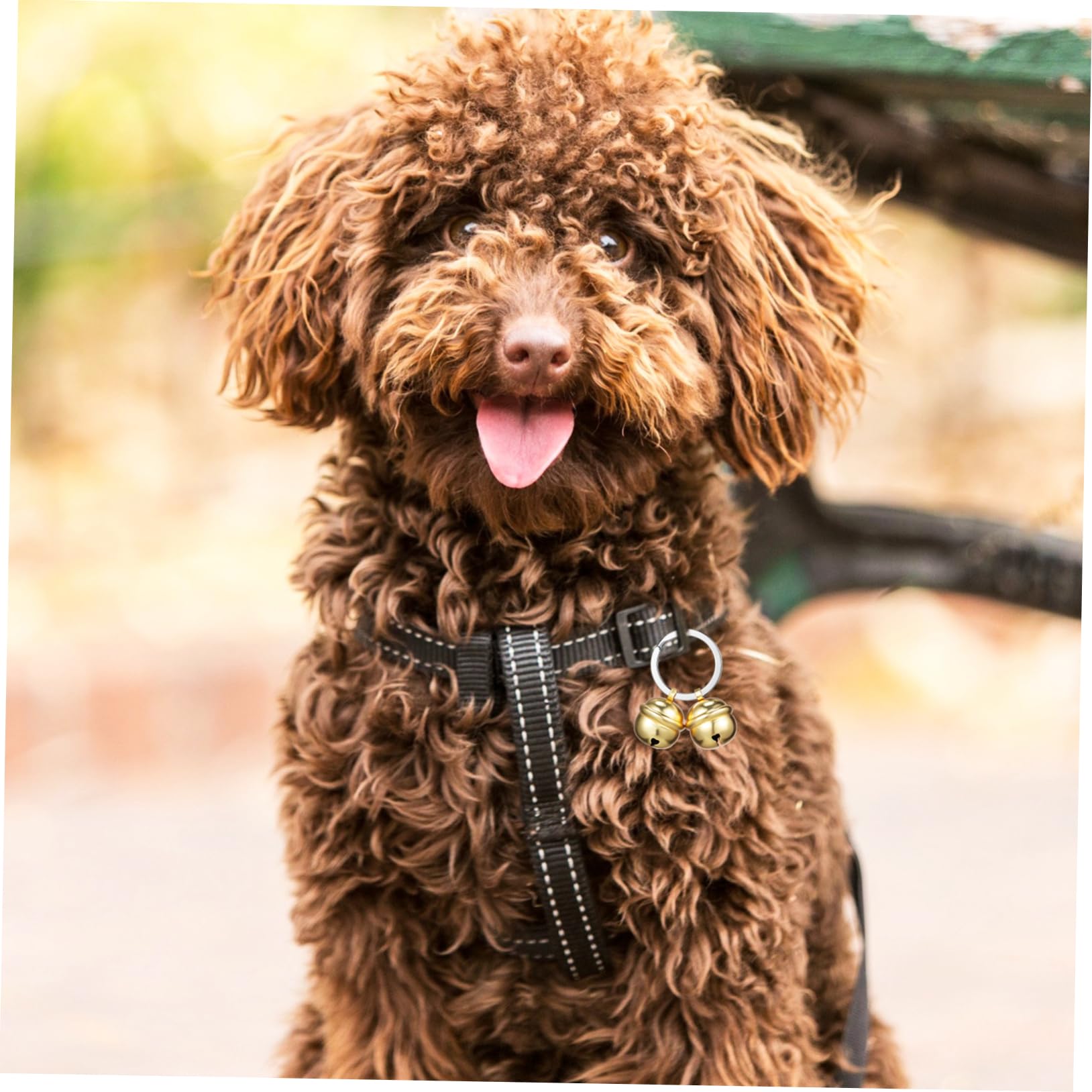 Angoily 1 set Dog Copper Pet Supplies Accessories Bells Collar Cat, medium, Copper