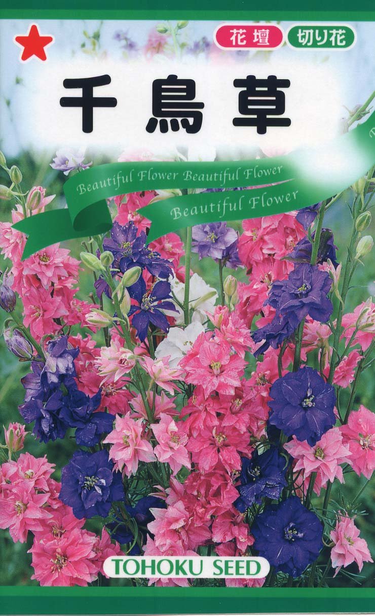 Amazon | 株式会社トーホク 千鳥草 00323 | 野菜