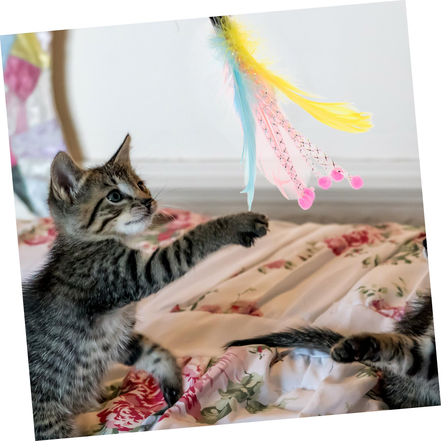 Mipcase 32pezzi Giochi Interattivi Per Gatti Con Piume Sostituibili Accessori Per Gatti Indoor Per Allenamento e Divertimento