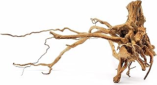 Lifegard Spider Wood/Cuckoo Root-Approximate Size 7