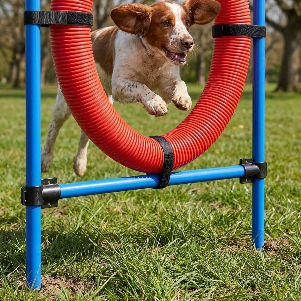 Cerceau d’Agilité pour Chien en Plastique avec Supports Métalliques Ajustables – Entraînement Canin Ludique et Renforcement de l’Agilité et de la Coordination