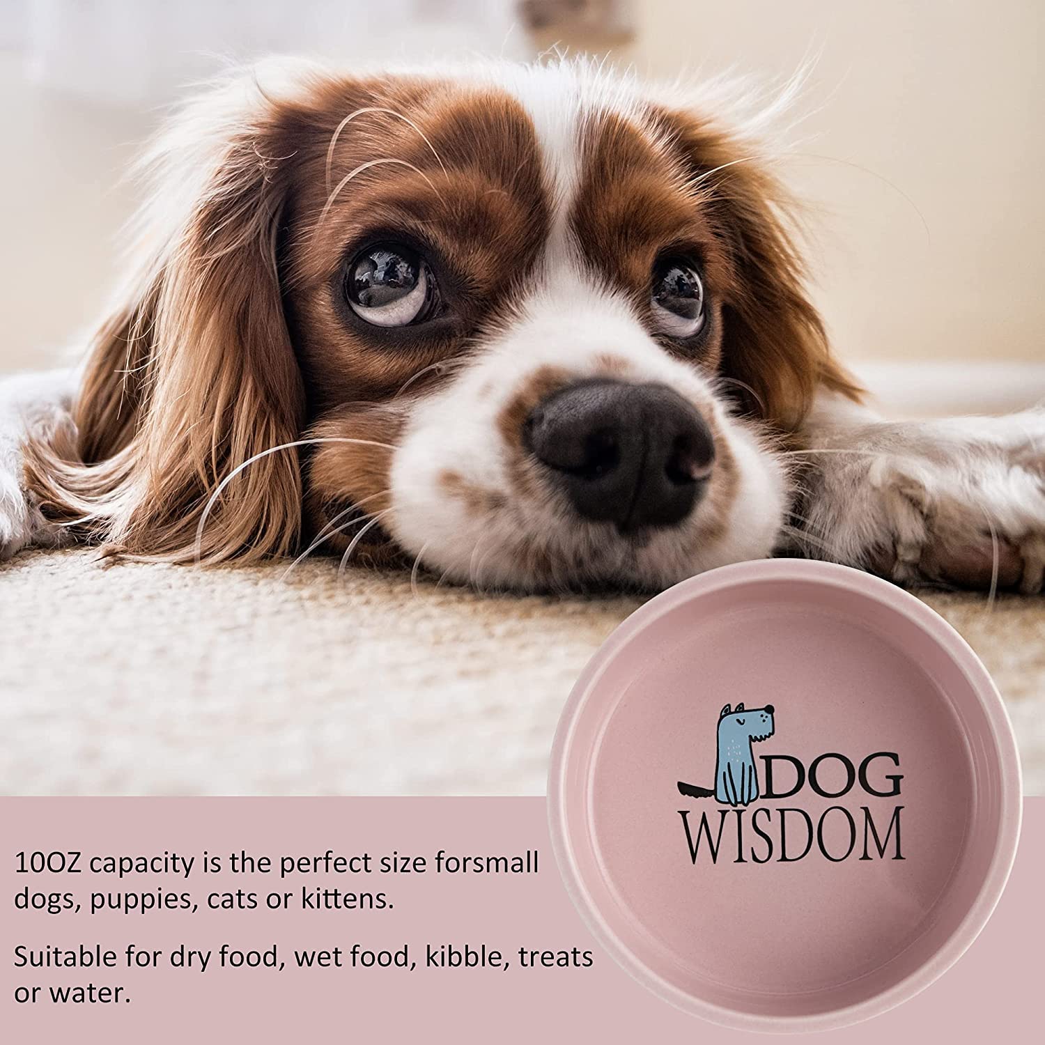 Ciotola In Ceramica Per Cani E Gatti | Goods - Foto 8