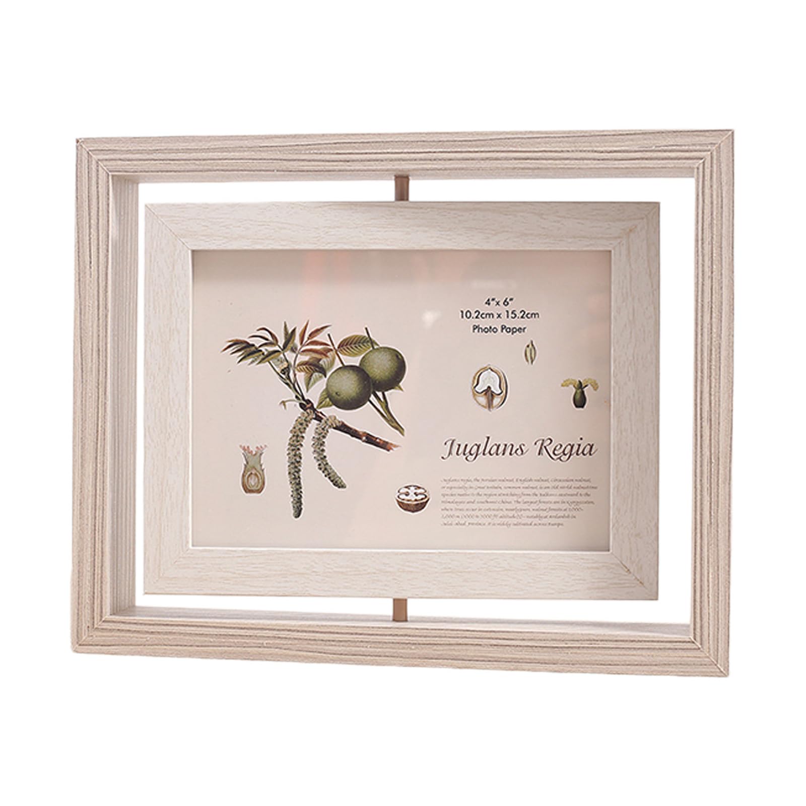 Exquisite Swivels Photo Holder 6 Inch with Double Display for Multiple Pictures Double Display Photo Frame Stand