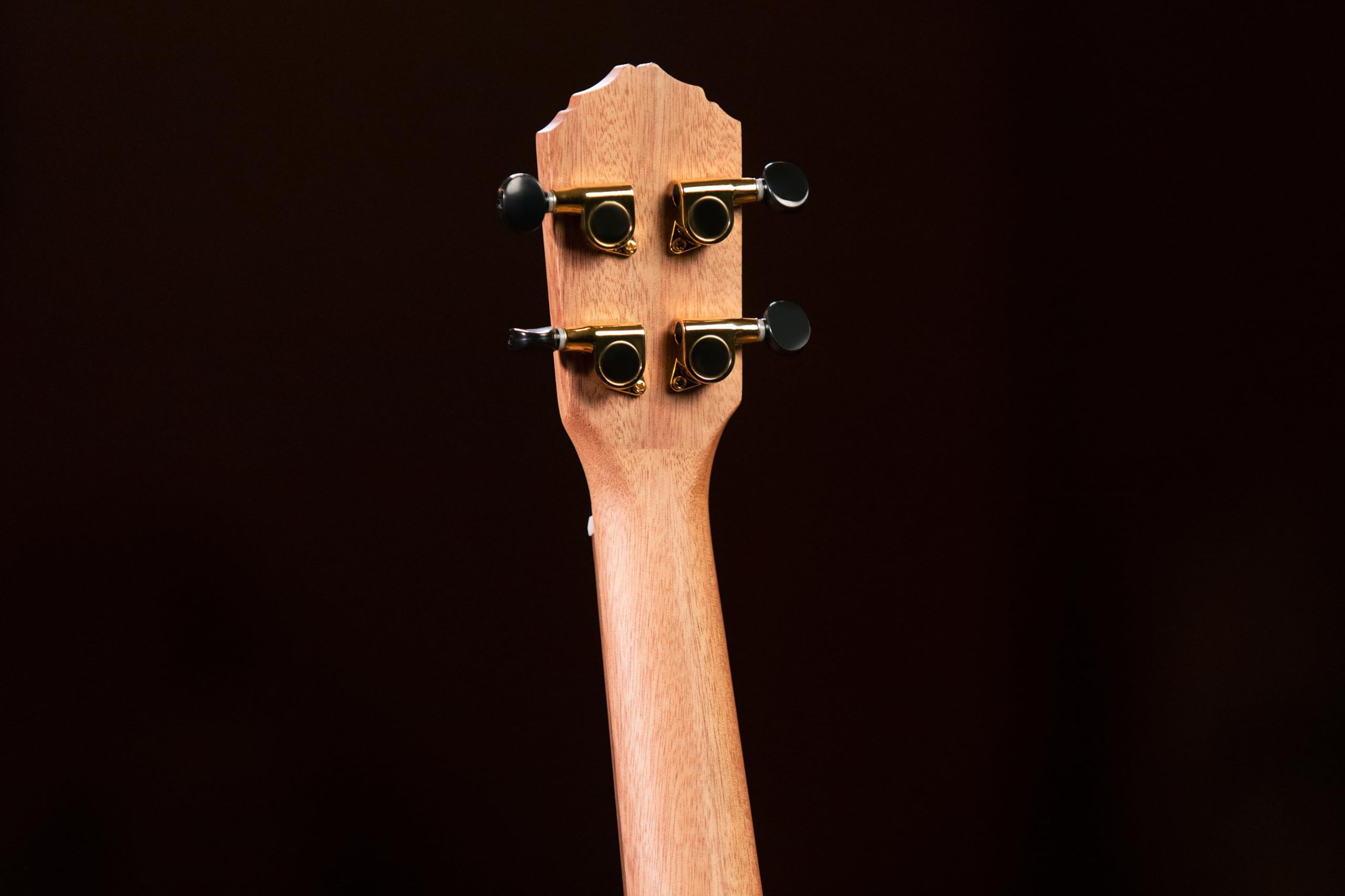 Ortega Guitars Konzert Ukulele Akustisch – Timber Series – Inklusive Gigbag – Zeder, Walnuss, Natur (RUTI-CC)