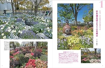 浜名湖花博 セット 3枚 浜名湖花博 コインセット 3枚 - メルカリ