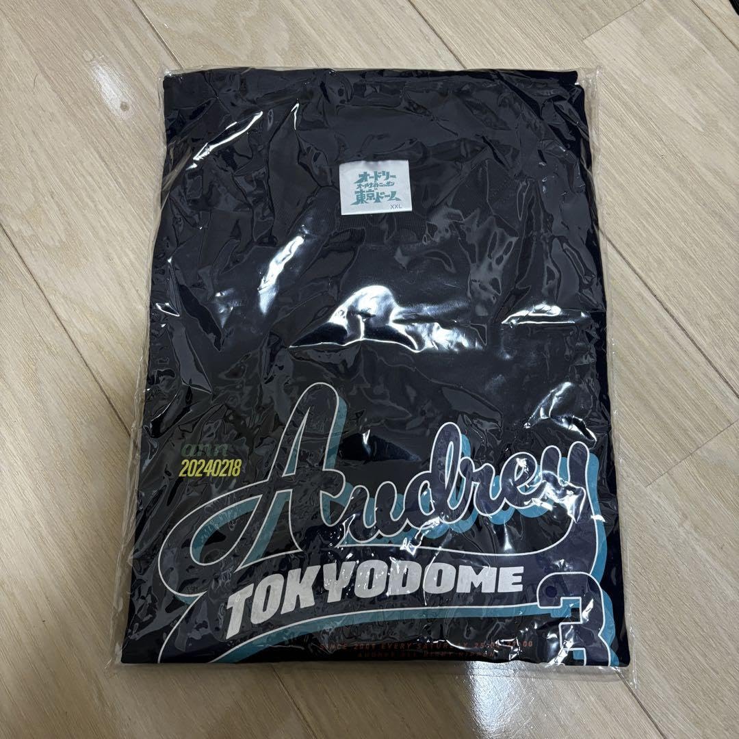 オードリーANN in 東京ドームTシャツ（ネイビー）XXL オードリーANN in 東京ドームTシャツ（ネイビー）XXL