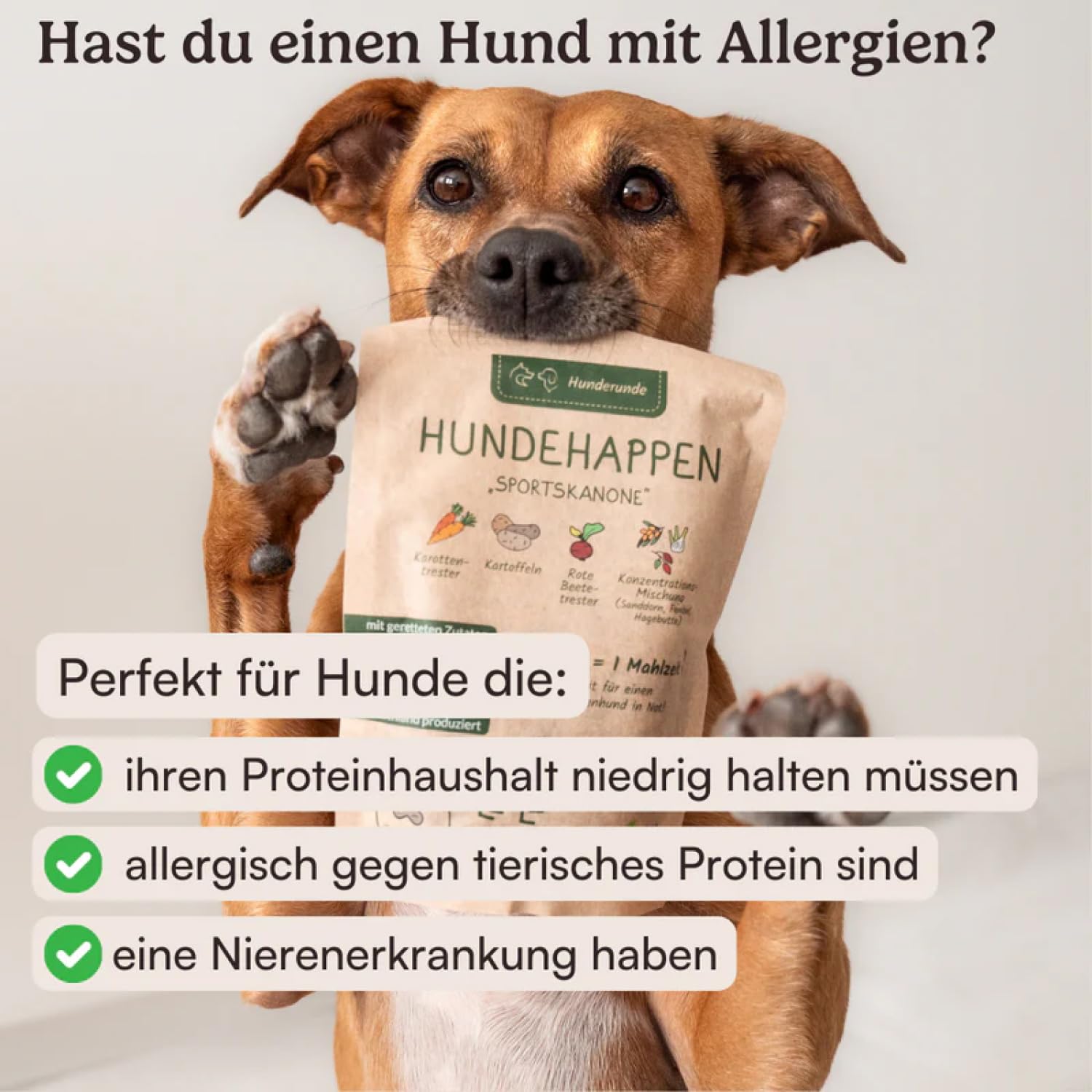 Hunderunde - Hundesnack Morgenmuffel für einen Guten Start in den Morgen - Hundeleckerlis mit Vitaminen, 39 Ballaststoffen & Kohlenhydraten - 100% hypoallergen, gut verträglich & vegan (9X 125g)