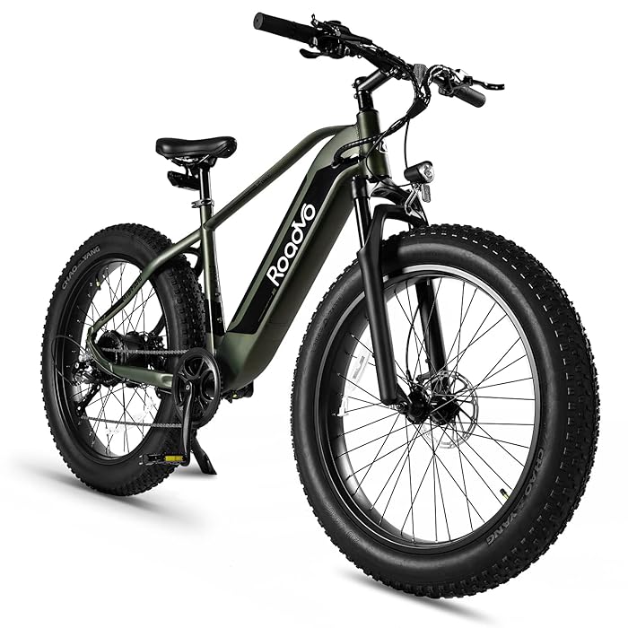 Buy Electric Bike for Adults, Roadvo 750W Electric Mountain Bike with