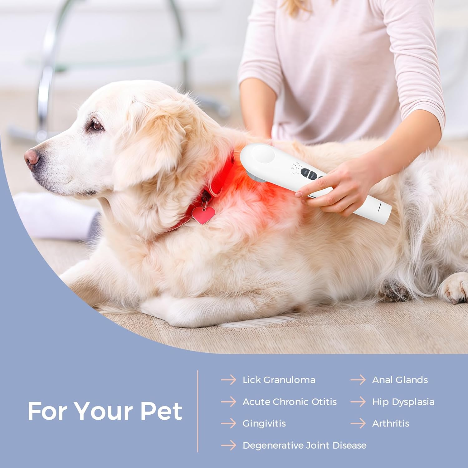Cold Laser Therapy Device for Humans and Dogs, 808nm + 12pcs 660nm and Low Level Light Therapy, Portable Red Light Therapy Wand for Muscle and Joints Pain Relief with Stand, 3 Modes/ 4 Timer