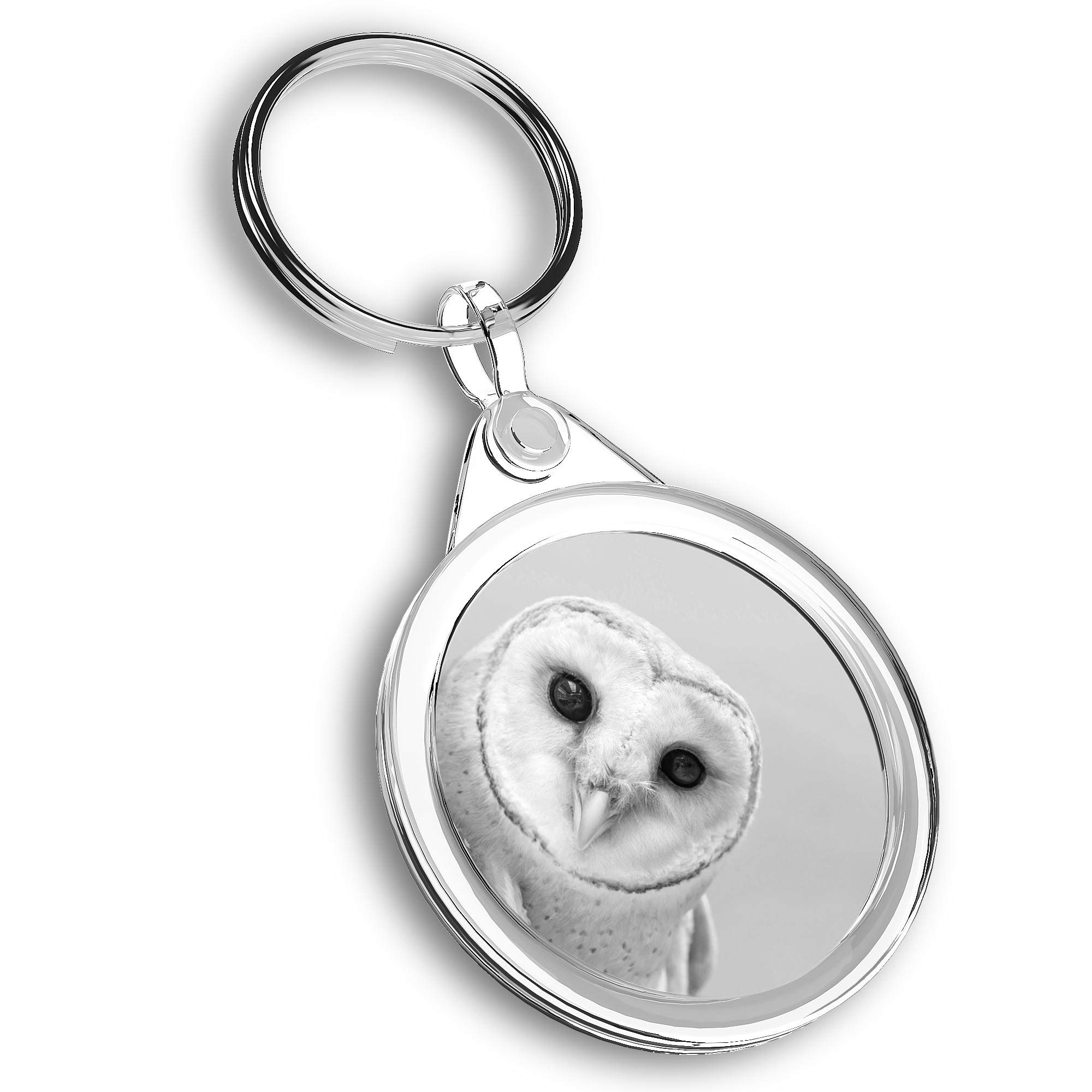 Destination Vinyl Ltd 1 x Photo Keyring - Wise Barn Owl Tyto Albahead |Keychain|Keyring|Charm| #36734