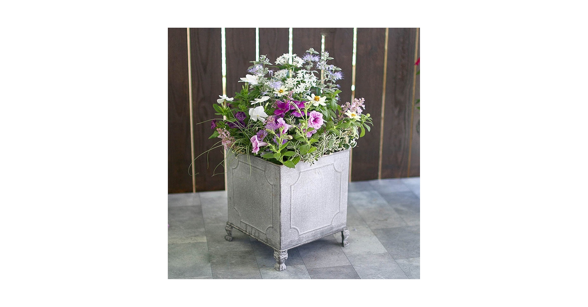 Amazon｜「おまかせ ブリキプランター 寄せ植え」 選べる鉢3タイプ