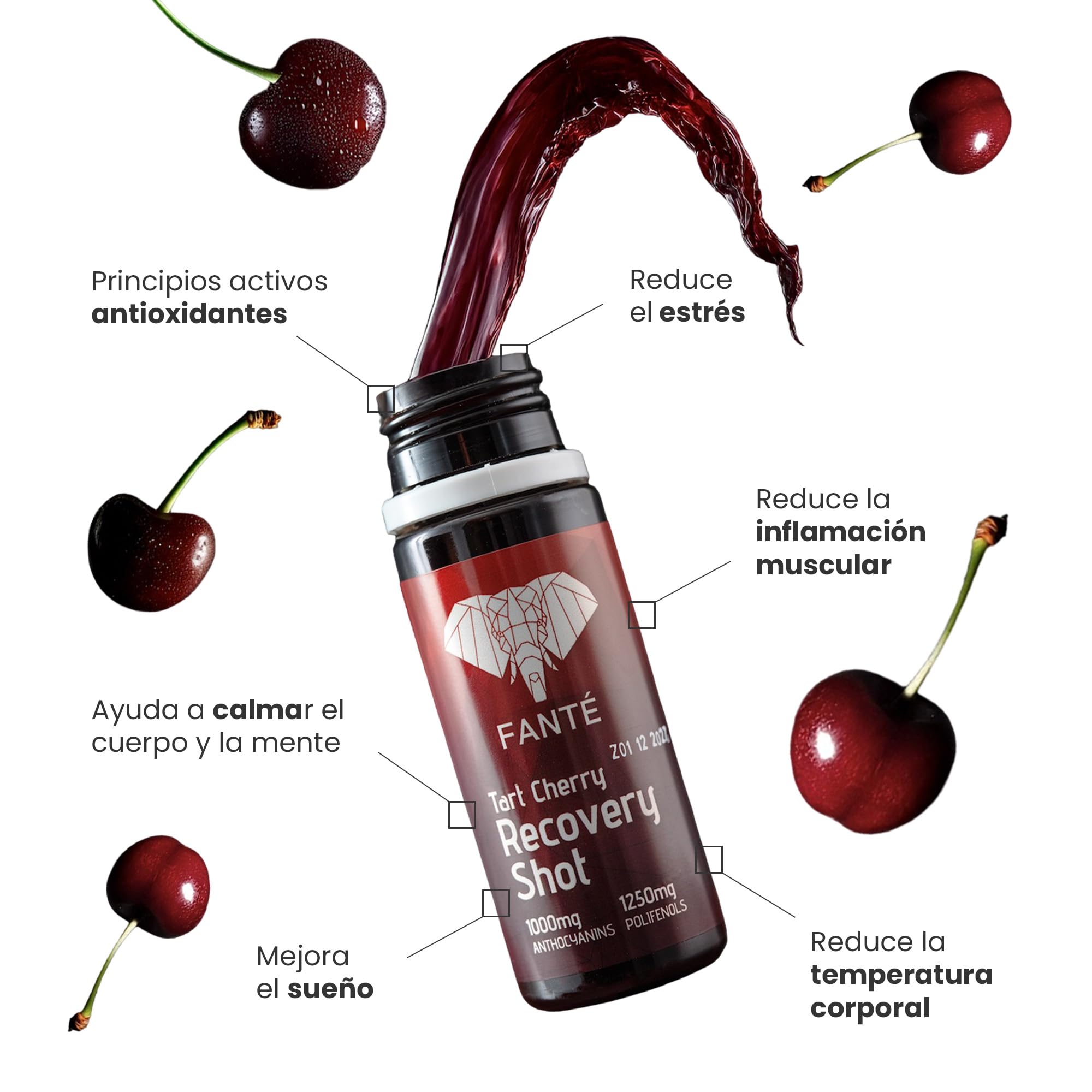 FANTÉ Tart Cherry Recovery Shot con 1000 mg Antocianinas y 1250 mg Polifenoles para Recuperación Muscular + Descanso 300mg magnesio bisglicinato