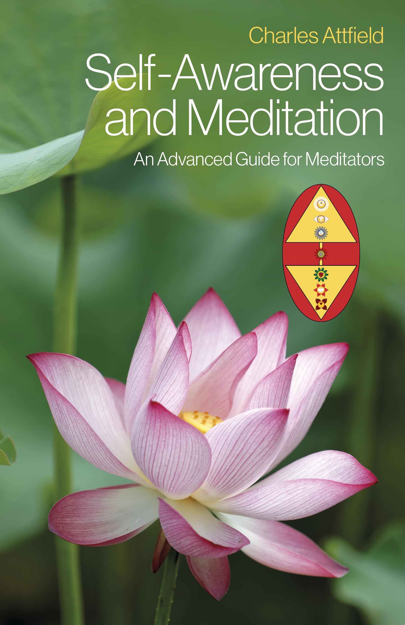 Self-Awareness and Meditation by Charles Attfield - 9781803412313