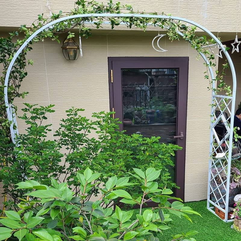 Arche de jardin en metal avec treillis blanc galvanise pour plantes grimpantes