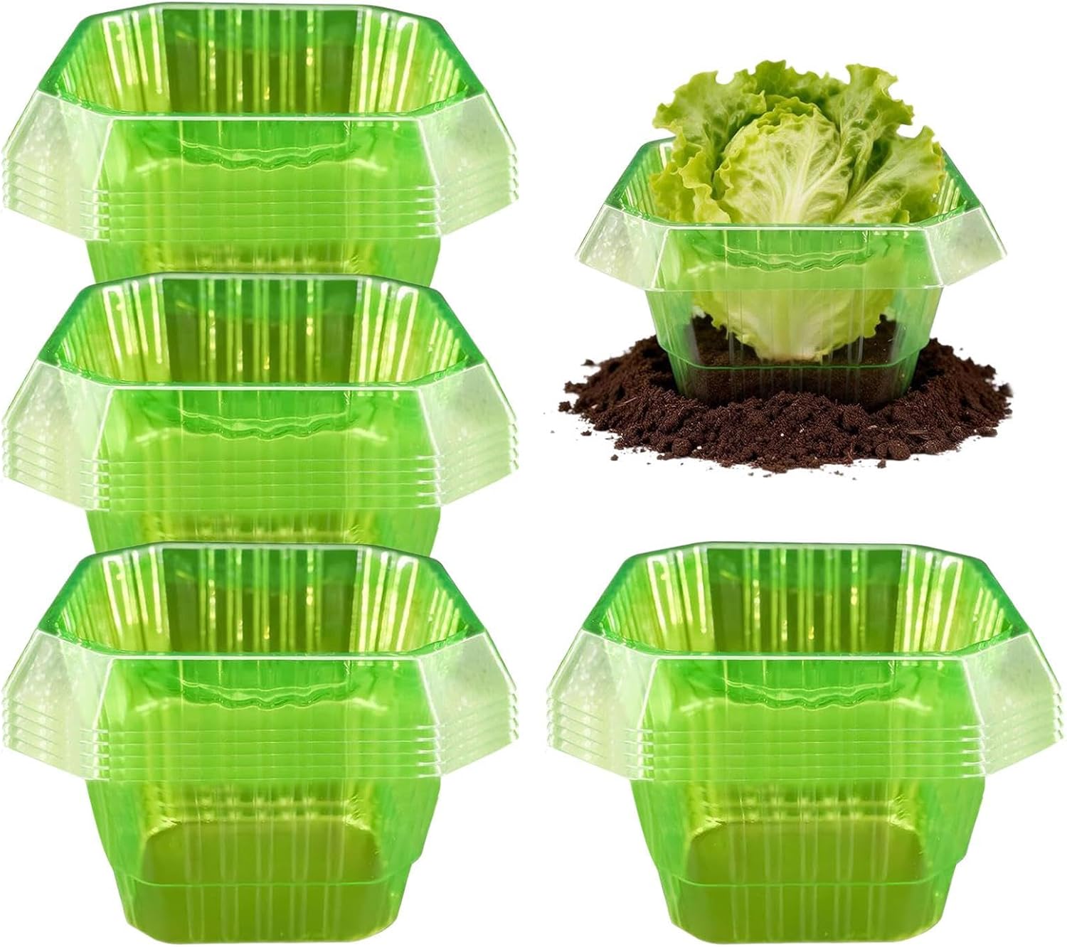 20Pcs Pl-astic Slug & Snail Plant Protection Collars - Reusable Snail Protection Cover, Slug Snails Repellents Covers Vegetable Protections Cover Plant Collars for Strawberry Salad Cabbage