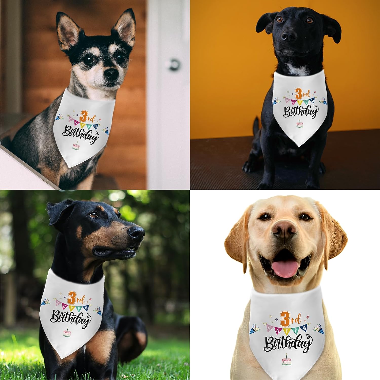 Dog 3rd Birthday Bandana Dog 3 Years Old Girl Boy My 3rd Birthday Outfit Decorations Photo Prop Pet Scarf Accessories for Small Medium Large Dogs image 3