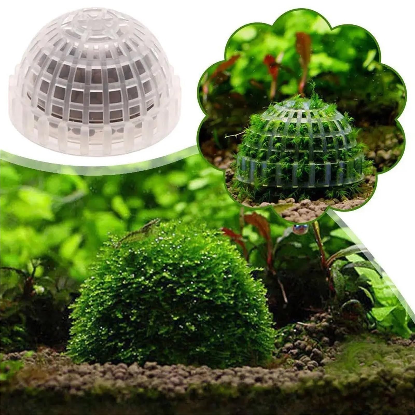Acuario Decoración Plantas Bio Moss Ball Holder para Acuario | Accesorios de filtro de decoración for pecera, casa de camarones rojos cristalinos, for acuario(5PCS)