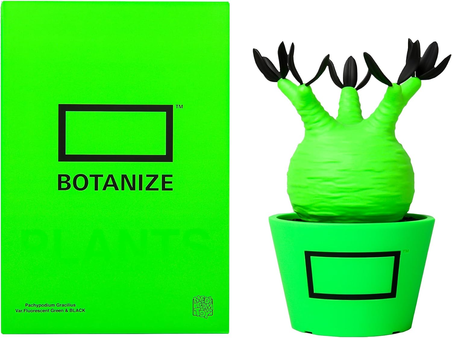 BOTANIZE × MEDICOM TOY パキポディウム グラキリス フィギュア BOTANIZE × MEDICOM TOY パキポディウム グラキリス フィギュア