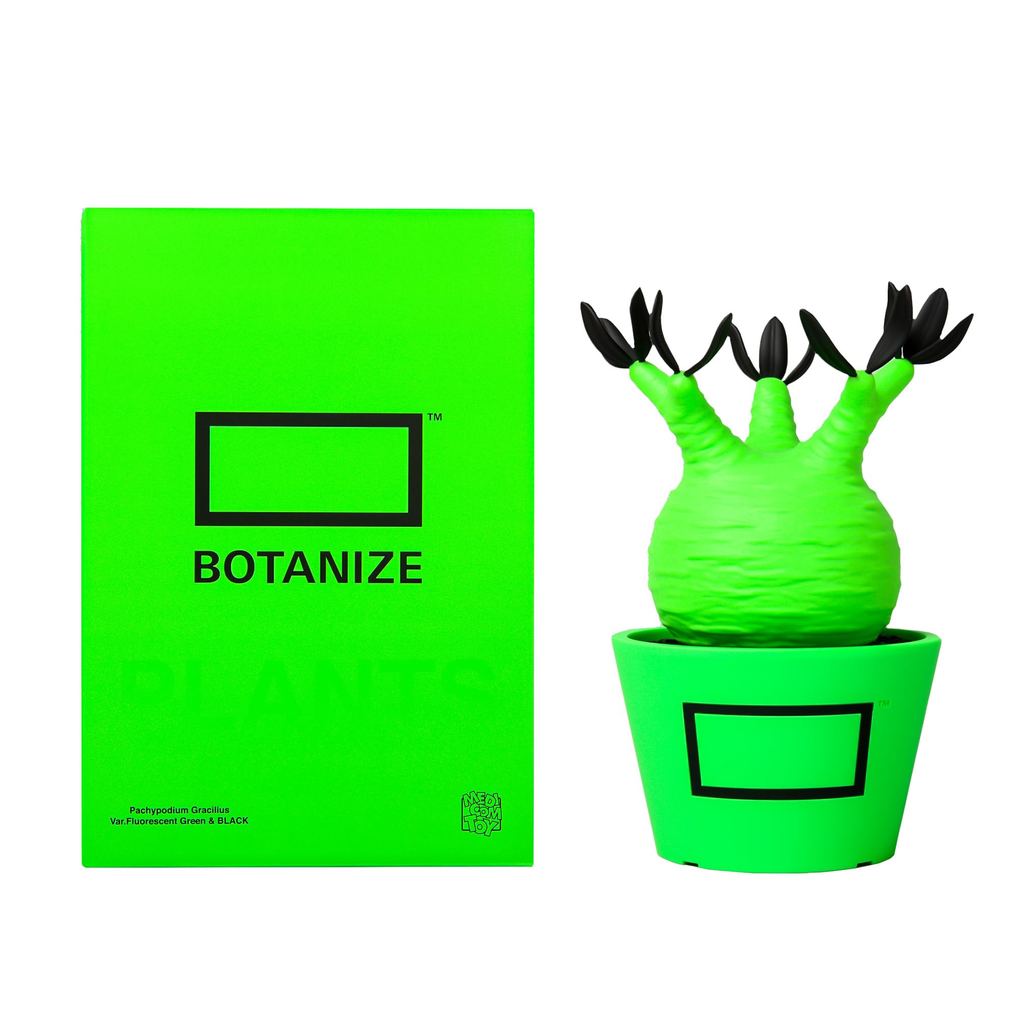 MEDICOM TOY - BOTANIZE パキポディウム ボタナイズ メディコムトイ 新品 atmos」とプランツショップ「BOTANIZE」、「MEDICOM TOY」の
