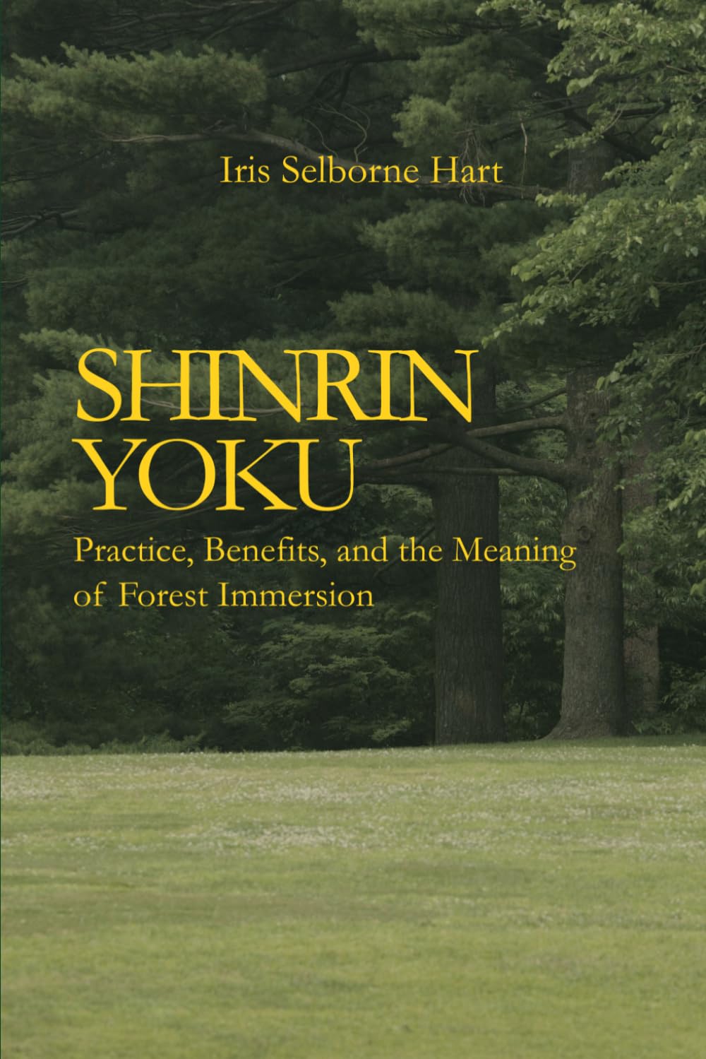Shinrin Yoku: Practice, Benefits, and the Meaning of Forest Immersion