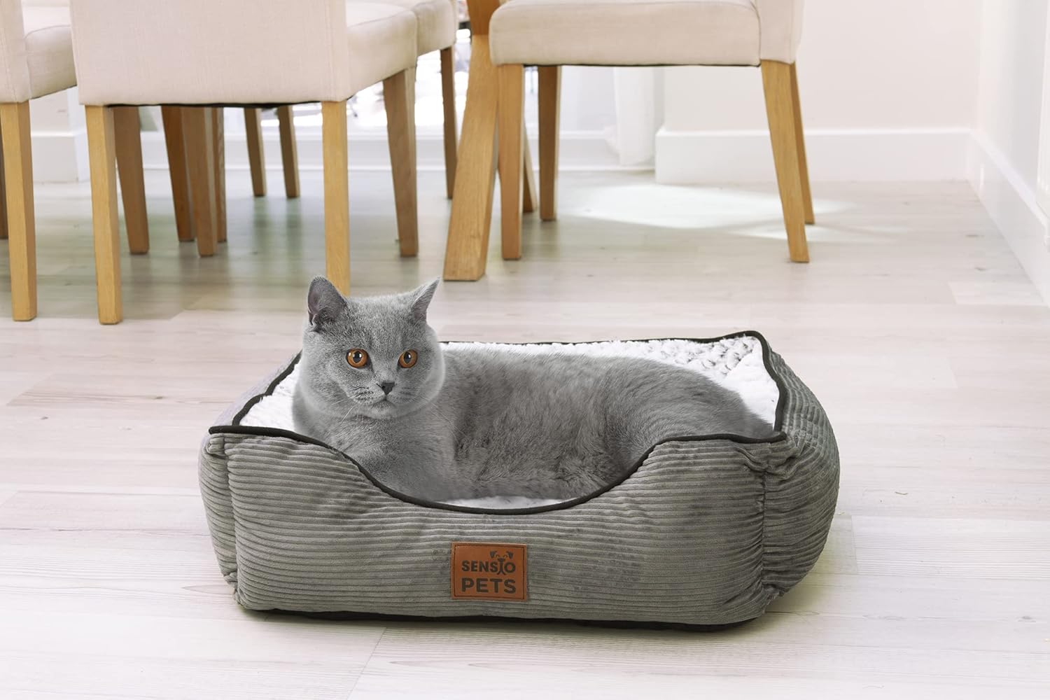 https://m.media-amazon.com/images/I/71u4ILroHgL._AC_SL1500_.jpg