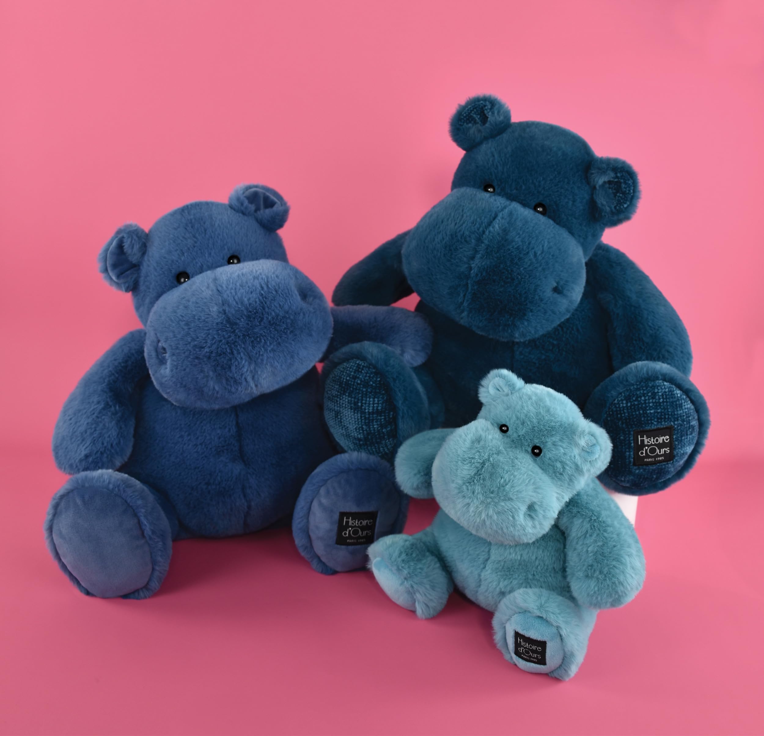 Histoire d'ours Carletto- Peluche, HO3110